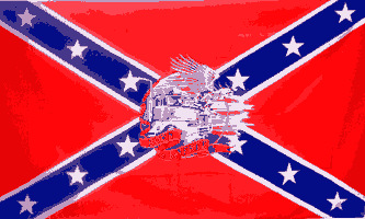 Born To Be Free Rebel Flag