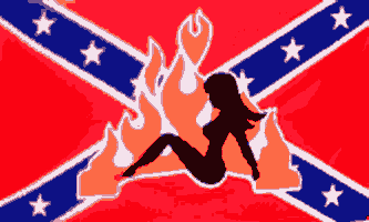 Rebel Lady Rebel Flag