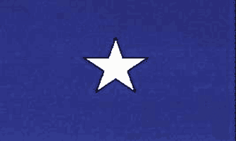 Bonnie Blue Rebel Flag