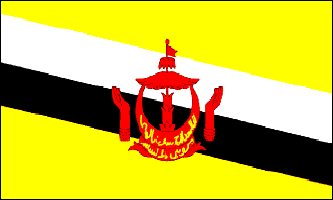 Brunei 3ft x 5ft Country Flag