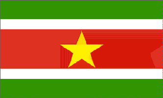 Suriname 3ft x 5ft Country Flag