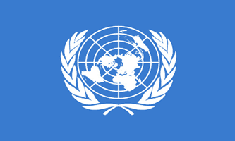 United Nations 3ft x 5ft Country Flag