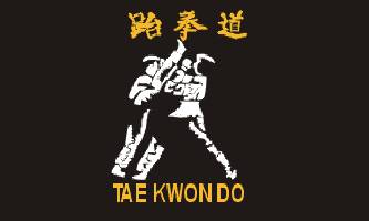 Tae Kwon Do 3ft x 5ft Flag